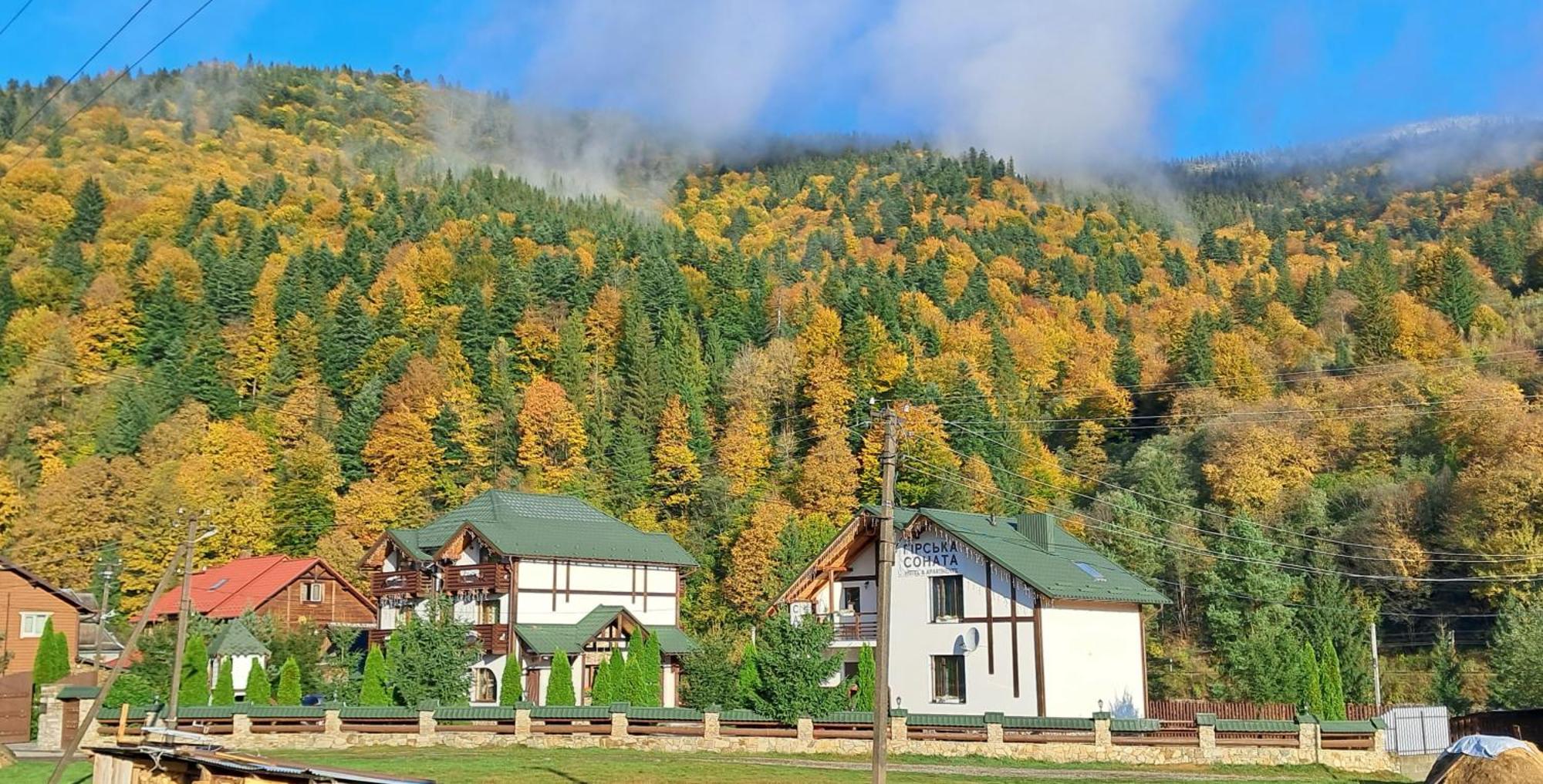 Girska Sonata Hotel & Apartments Mykulychyn Luaran gambar